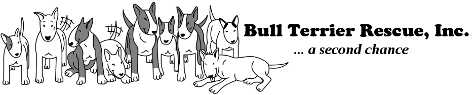 Bull Terrier Rescue, Inc. logo